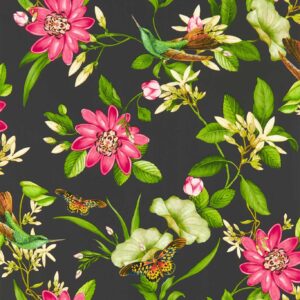 PINK LOTUS Wallpaper - NOIR