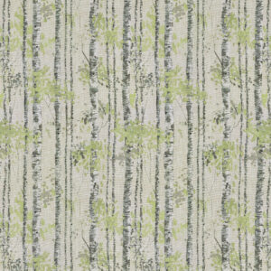 Alternative view of BIRCH Roman Blind - SAGE